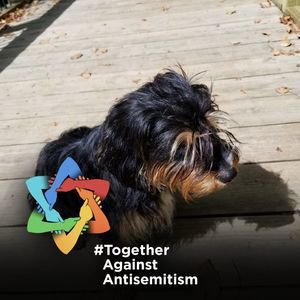 Meet your Posher, Cecilia